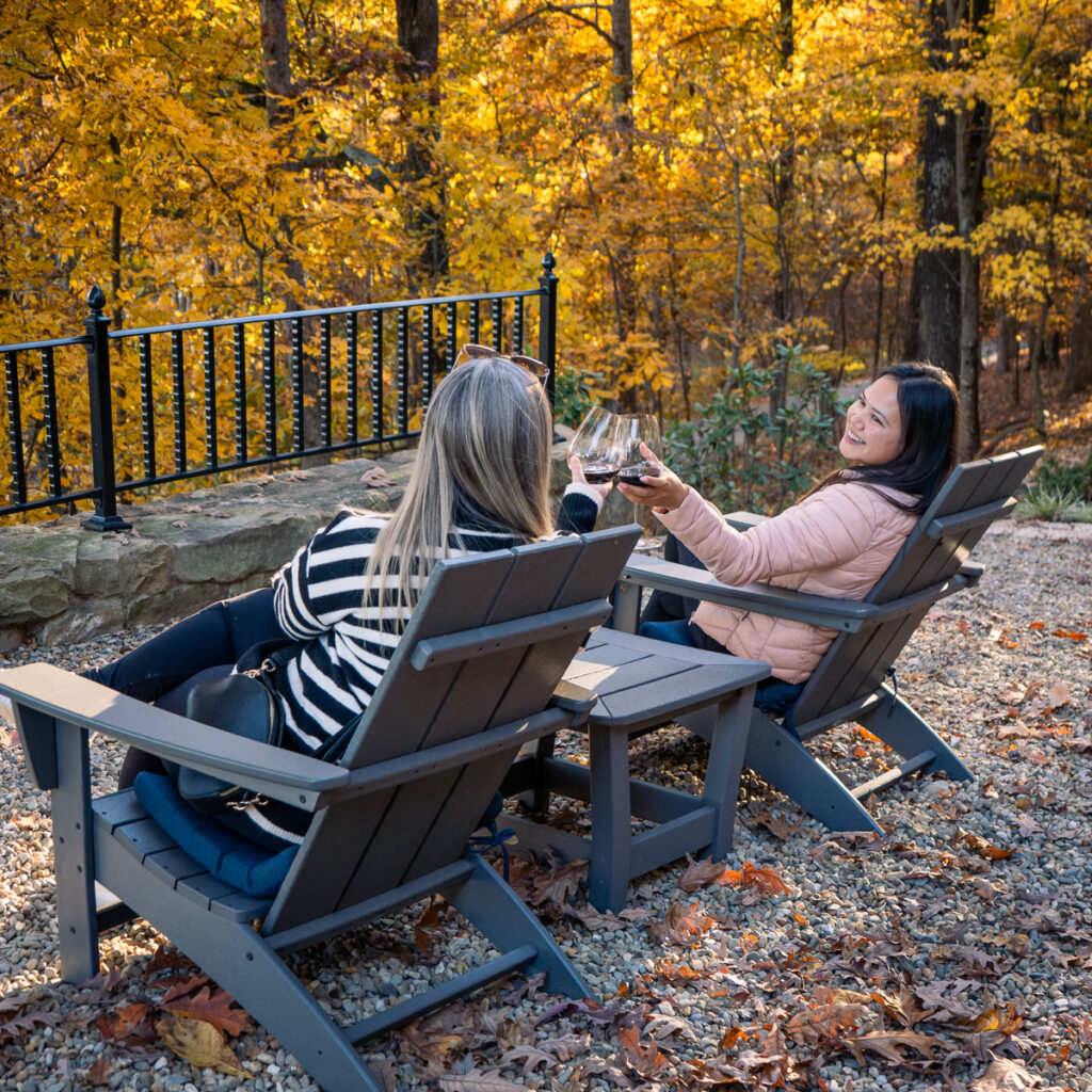 Two women cheering wine glasses outside.